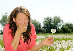 Les allergies au pollen, bientt tous concerns ?